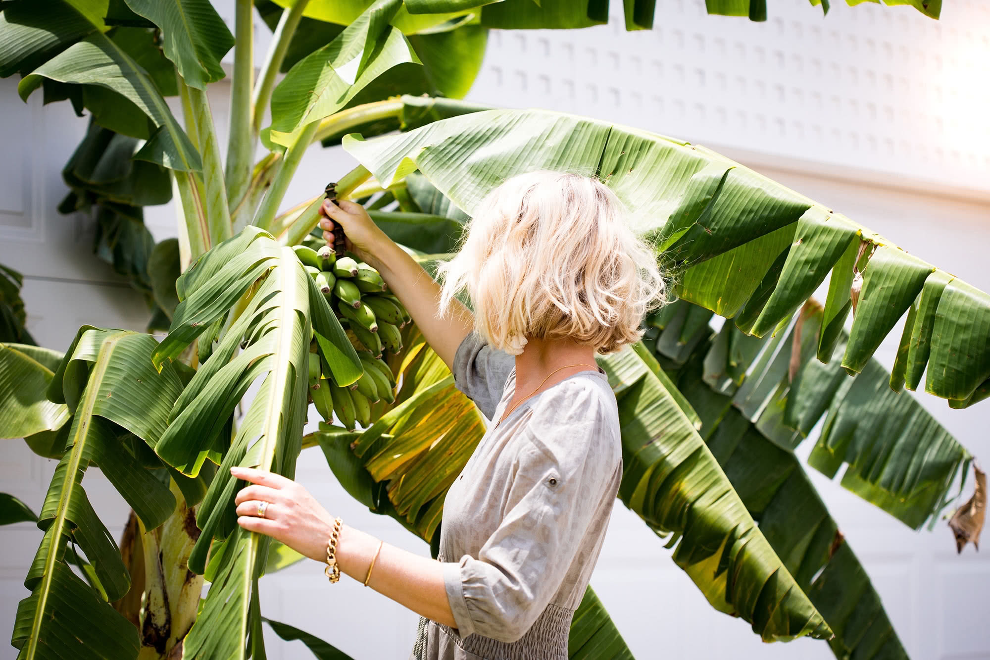 The Power Of Nutrition Needed To Be Unlocked